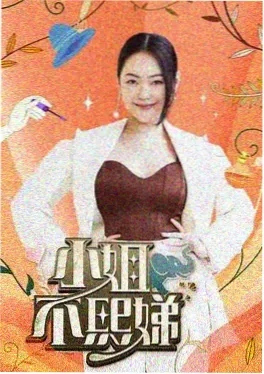 音乐竞演综艺《声生不息的夏天》海报